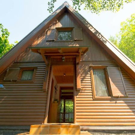 Ferienhaus Ederer 瓦尔德明兴 外观 照片